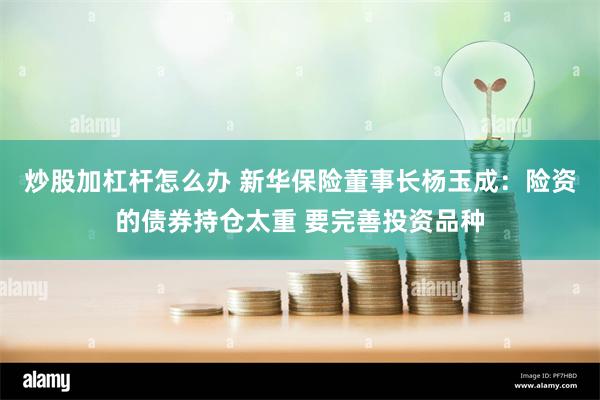 炒股加杠杆怎么办 新华保险董事长杨玉成：险资的债券持仓太重 要完善投资品种