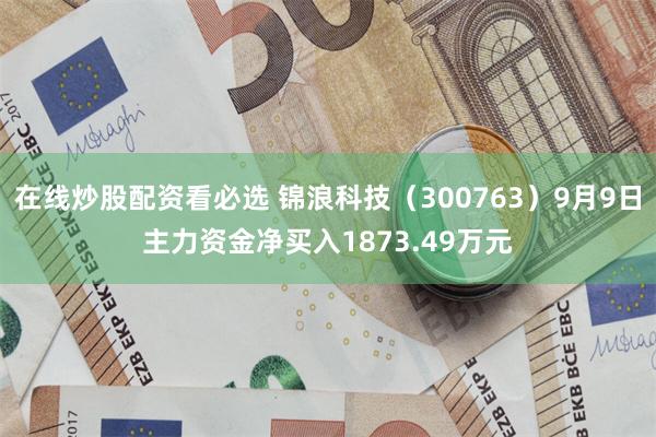 在线炒股配资看必选 锦浪科技（300763）9月9日主力资金净买入1873.49万元