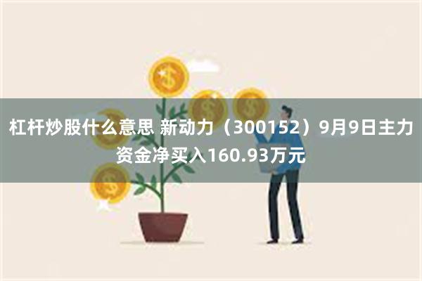 杠杆炒股什么意思 新动力（300152）9月9日主力资金净买入160.93万元