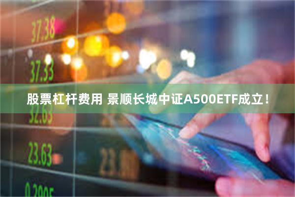 股票杠杆费用 景顺长城中证A500ETF成立！