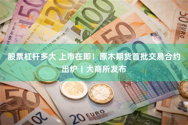 股票杠杆多大 上市在即！原木期货首批交易合约出炉丨大商所发布