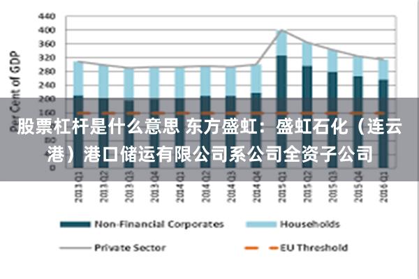 股票杠杆是什么意思 东方盛虹：盛虹石化（连云港）港口储运有限公司系公司全资子公司